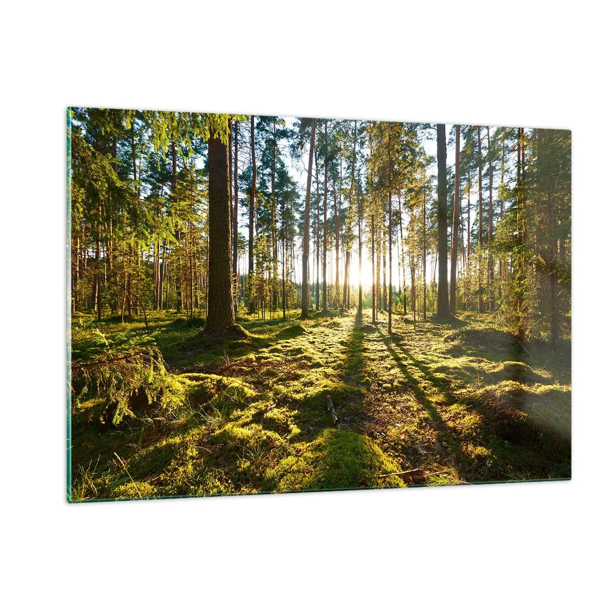 Impression sur verre - Image sur verre - Les rayons du soleil pénètrent à travers les arbres de la forêt - 120x80cm - … Derrière les sept forêts - Décoration murale moderne pour le salon et la chambre ARTTOR