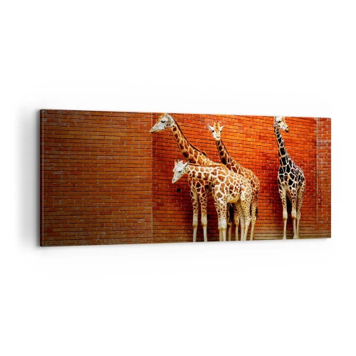 Impression sur toile - Image sur toile - Voyez-vous des acacias ? - 100x40 cm