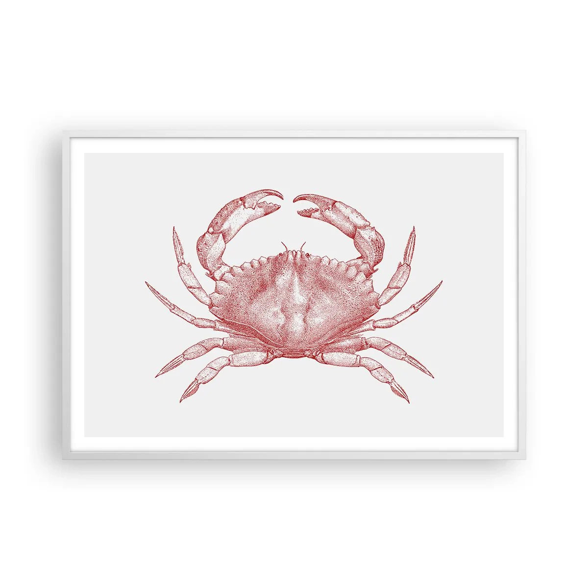 Affiche dans un cadre blanc - Poster - Le crabe des crabes - 100x70 cm
