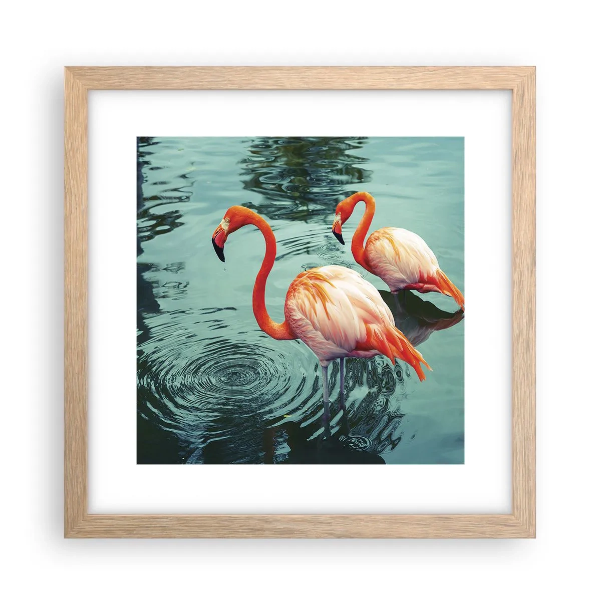 Affiche dans un chêne clair - Poster - Nous sommes à la mode maintenant - 30x30 cm