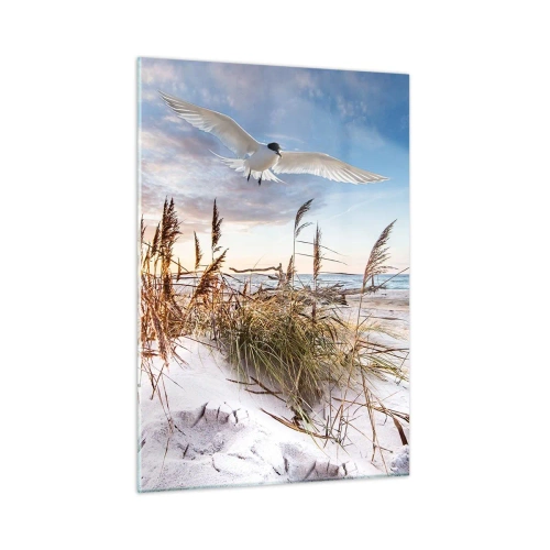Impression sur verre - Image sur verre - Un oiseau survolant les dunes au coucher du soleil - 50x70cm - Vent de mer - Décoration murale moderne pour le salon et la chambre ARTTOR