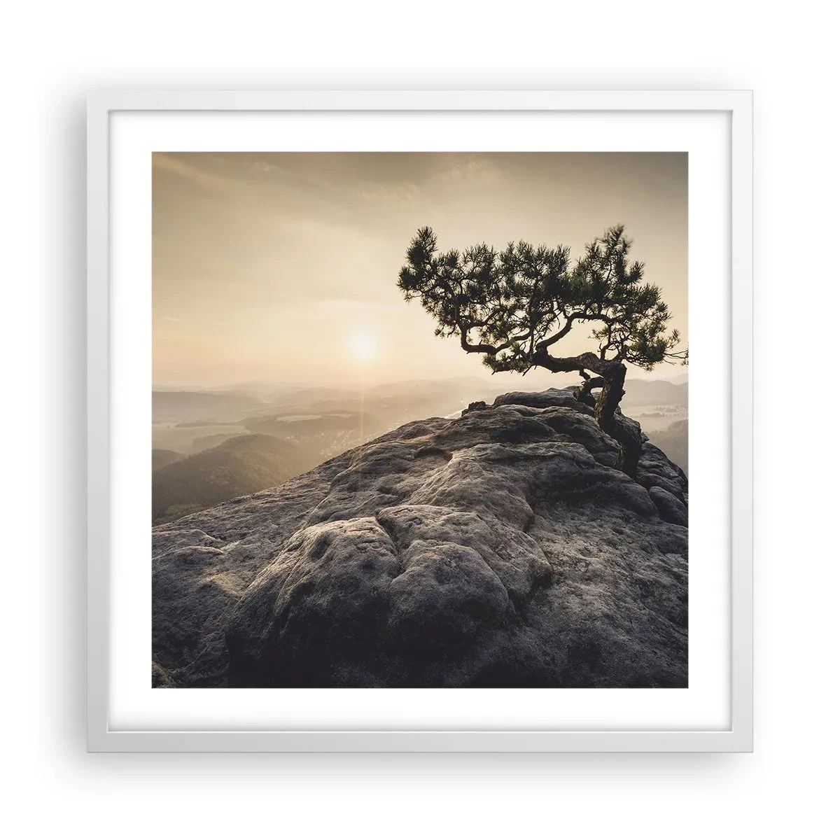 Affiche dans un cadre blanc - Poster - La vie gagne toujours - 50x50 cm