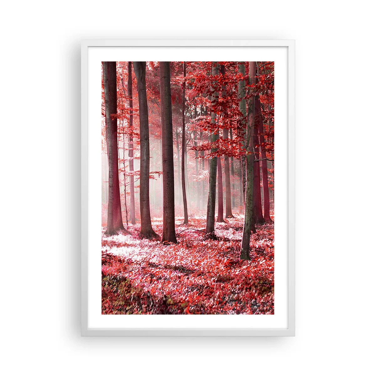 Affiche dans un cadre blanc - Poster - Le rouge est tout aussi beau - 50x70 cm