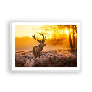 Affiche dans un cadre blanc - Poster - Roi de la forêt automnal - 70x50 cm
