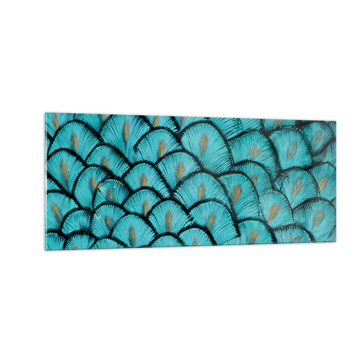 Impression sur verre - Image sur verre - Le grand gala des plumes - 100x40 cm