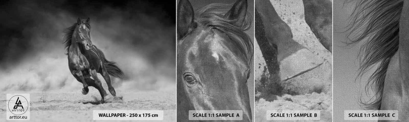 Échantillon de Papier Peint Premium Canvas - Digne de l'émir lui-même - Cheval, Animaux, Nature - 100x30 cm