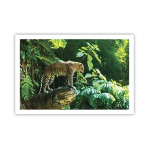 Affiche - Poster - À la chasse? - 91x61 cm