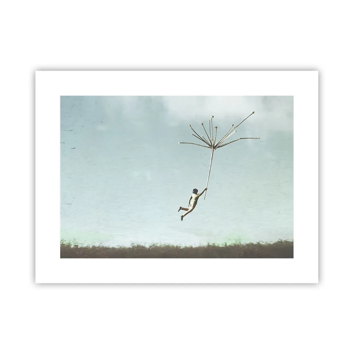 Affiche - Poster - Cerfs-volants, pissenlits, vent - 40x30 cm