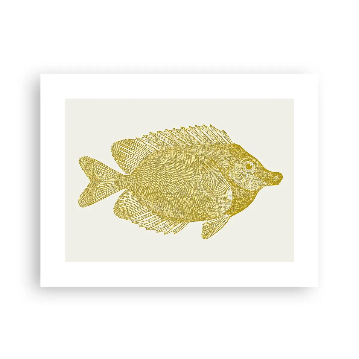Affiche - Poster - Du poisson et c'est tout - 40x30 cm