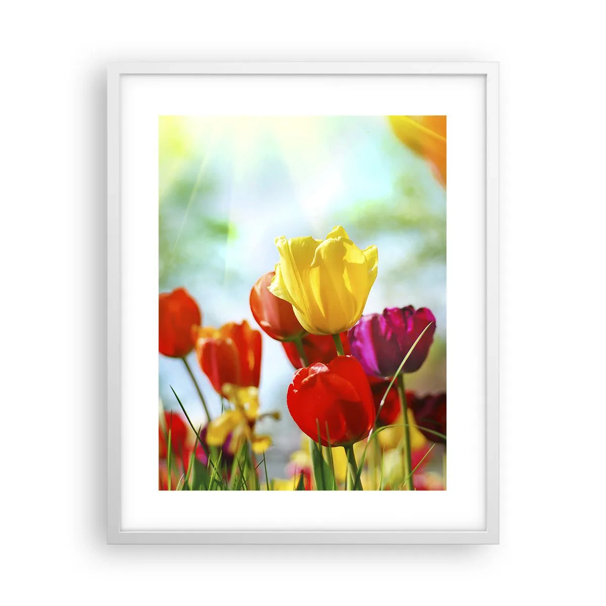 Affiche dans un cadre blanc - Poster - Toutes les couleurs du soleil - 40x50 cm