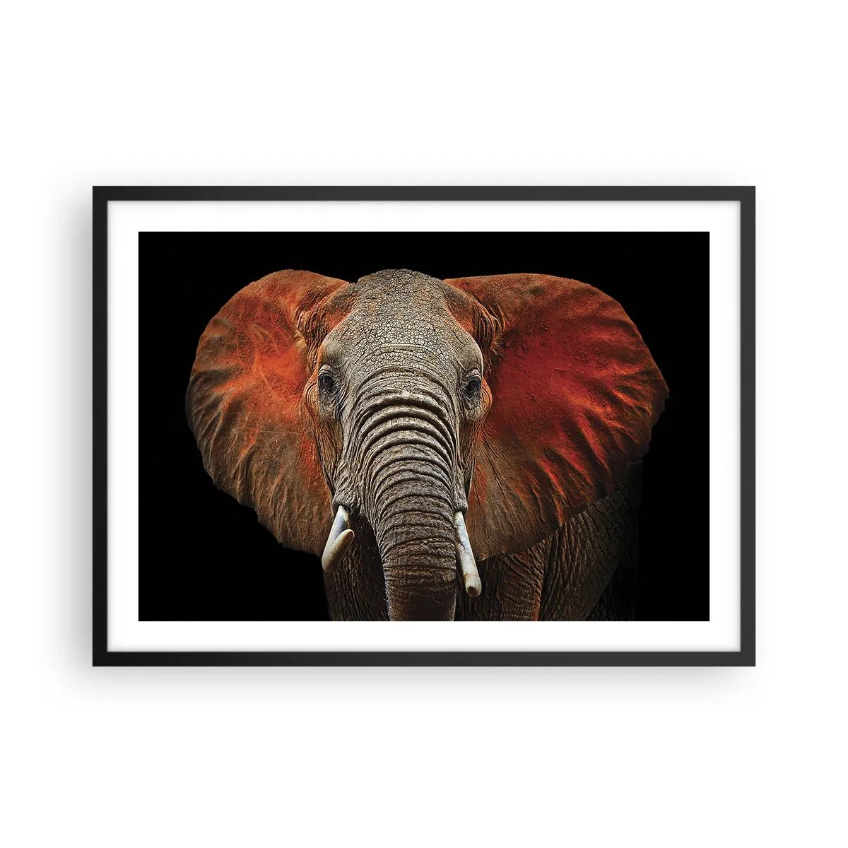 Affiche dans un cadre noir - Poster - Portrait d'un éléphant sur fond noir - 70x50cm - Je suis sauvage, et toi? - Décoration murale moderne pour le salon et la chambre ARTTOR
