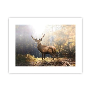 Affiche - Poster - Toute sa majesté - 40x30 cm