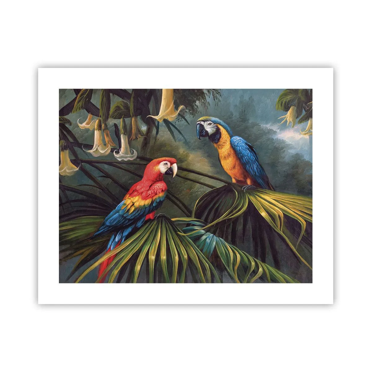 Affiche - Poster - Romantisme dans les tropiques - 50x40 cm