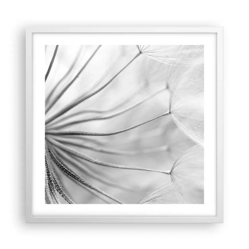 Affiche dans un cadre blanc - Poster - Aigrette avant son envol - 50x50 cm