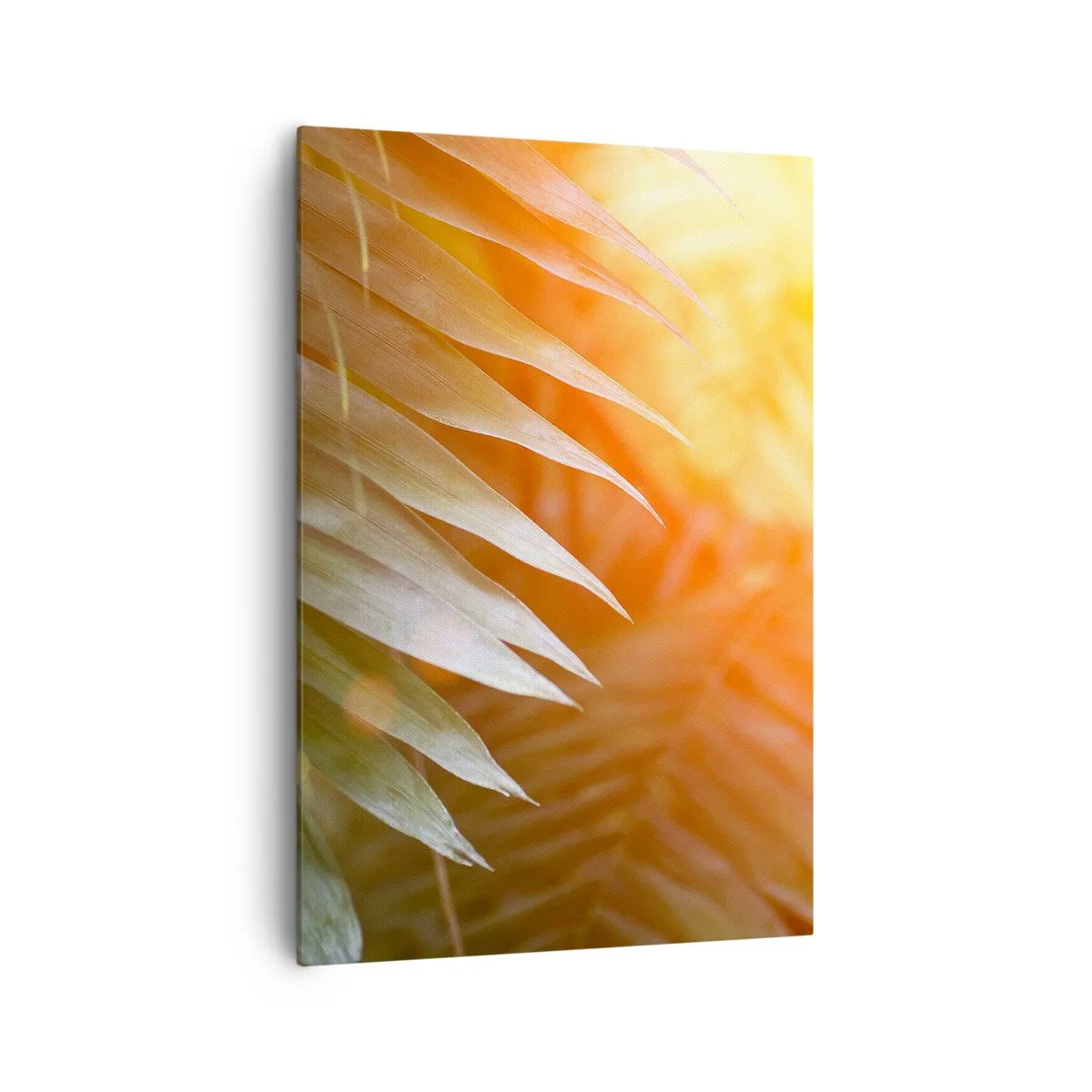 Impression sur toile - Image sur toile - Feuilles de palmier dans les rayons du soleil couchant - 70x100cm - Matinée dans la jungle - Décoration murale moderne pour le salon et la chambre ARTTOR