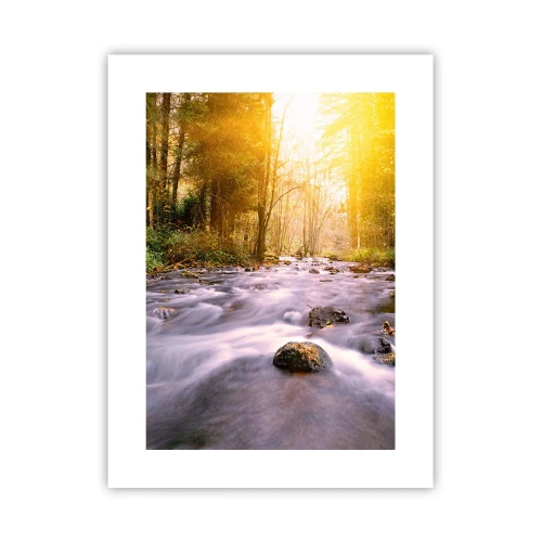 Affiche - Poster - Malachite dans un cadre argent et or - 30x40 cm