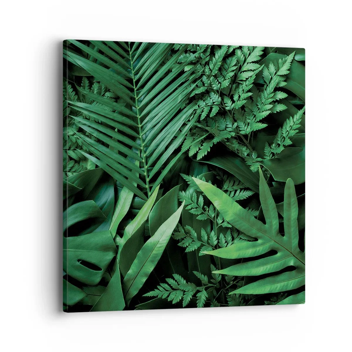 Impression sur toile - Image sur toile - Emmitouflé de verdure - 40x40 cm