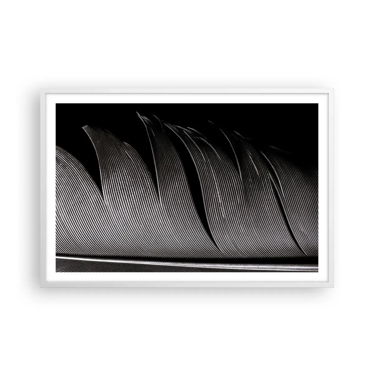 Affiche dans un cadre blanc - Poster - La plume – un design magnifique - 91x61 cm