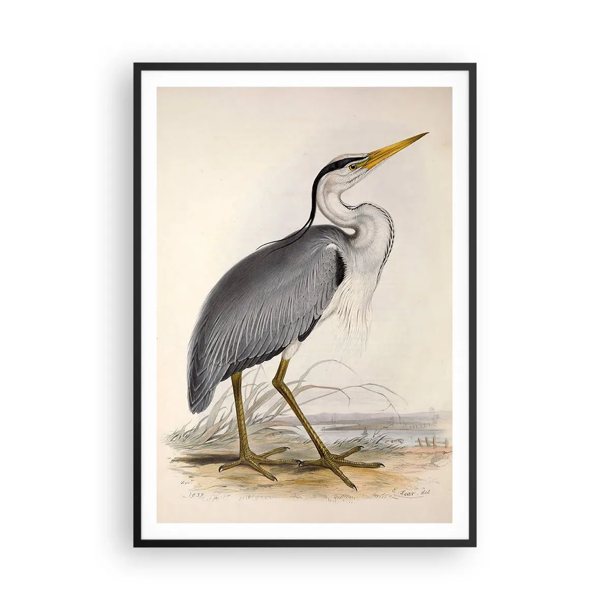 Affiche dans un cadre noir - Poster - Grâce au héron - 70x100 cm