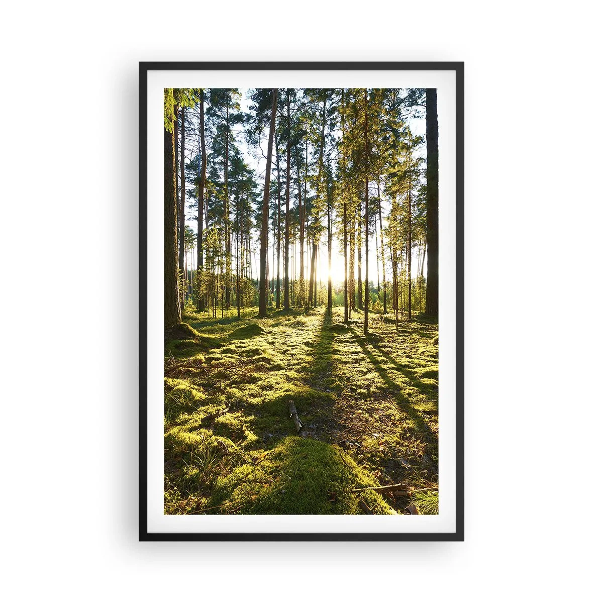 Affiche dans un cadre noir - Poster - … Derrière les sept forêts - 61x91 cm
