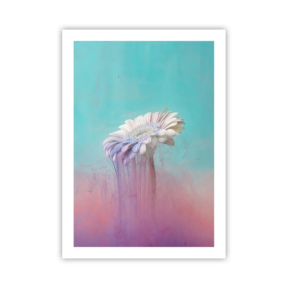 Affiche - Poster - Gerbera blanc avec des stries colorées sur fond pastel - 50x70cm - Le monde souterrain des fleurs - Décoration murale moderne pour le salon et la chambre ARTTOR