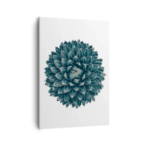 Impression sur toile - Image sur toile - Plante succulente symétrique sur fond blanc - 50x70cm - Étoile du désert - Décoration murale moderne pour le salon et la chambre ARTTOR