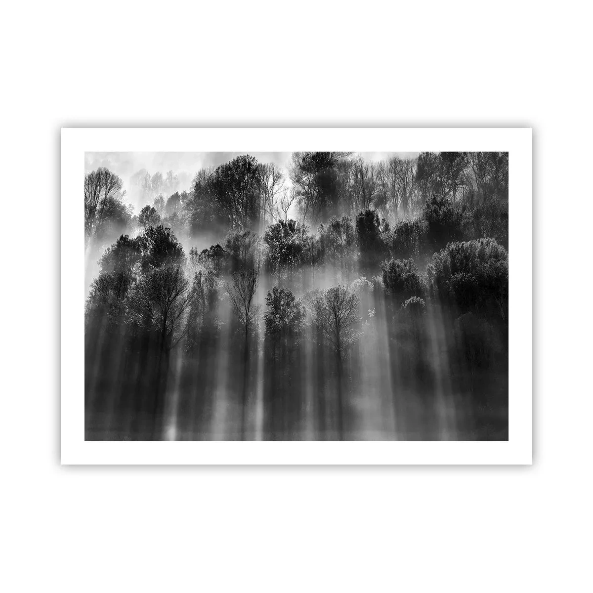 Affiche - Poster - Dans les flots de lumière - 70x50 cm