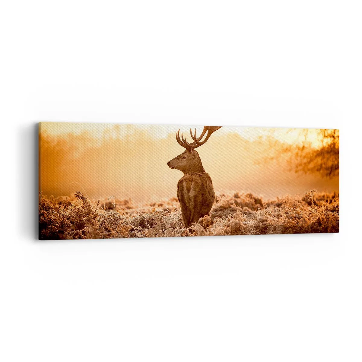 Impression sur toile - Image sur toile - Seigneur du domaine - 90x30 cm