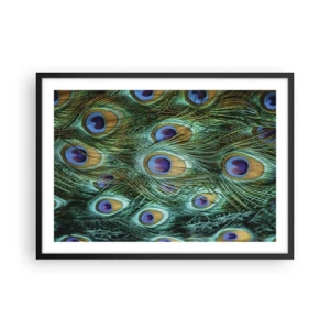 Affiche dans un cadre noir - Poster - Détails des plumes de paon aux couleurs riches - 70x50cm - Un regard de paon - Décoration murale moderne pour le salon et la chambre ARTTOR