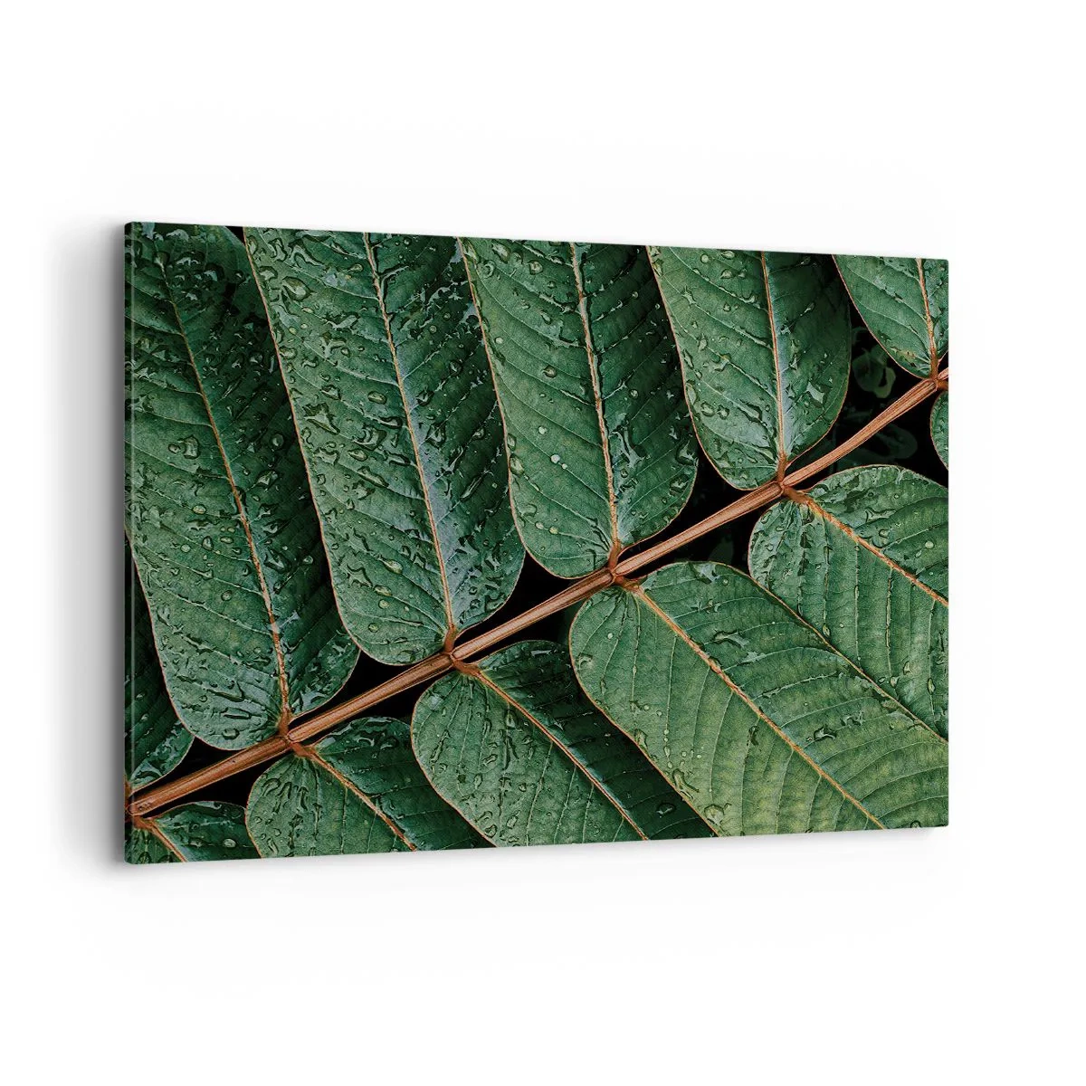 Impression sur toile - Image sur toile - Macro shot de feuilles vertes avec des gouttes de rosée - 100x70cm - Au rythme de la verdure - Décoration murale moderne pour le salon et la chambre ARTTOR