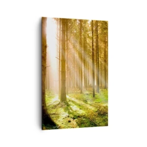 Impression sur toile - Image sur toile - Forêt de conifères avec les rayons du soleil qui brillent à travers les arbres - 80x120cm - Les elfes vont bientôt apparaître - Décoration murale moderne pour le salon et la chambre ARTTOR