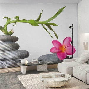 Papier Peint Photo Premium Canvas - Couleurs de la vie et de la durée - Fleur, Des pierres, Spa - 400x280 cm