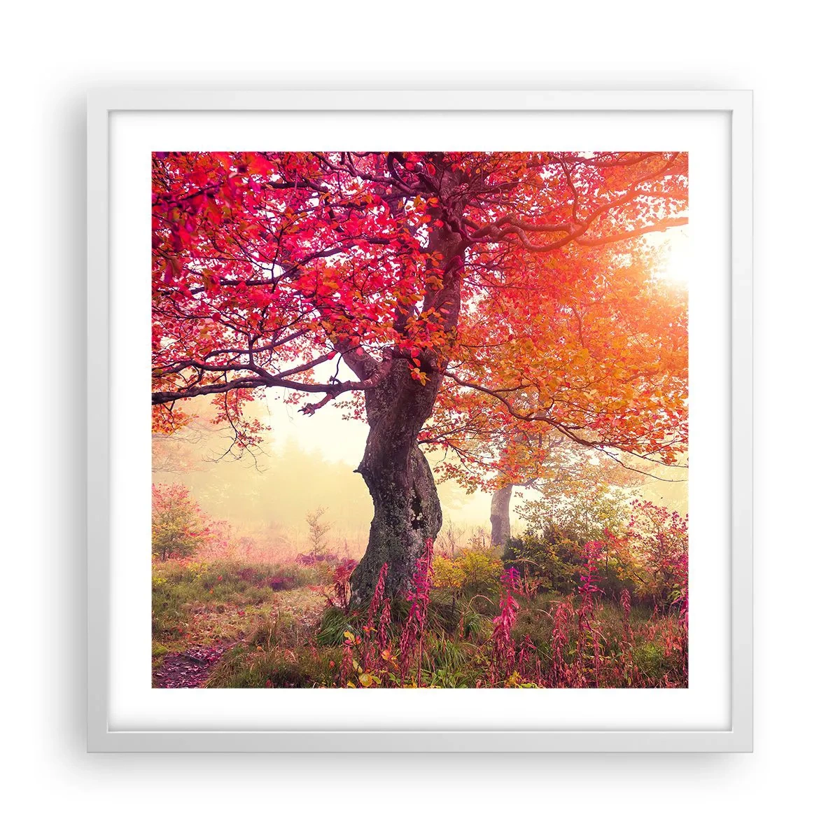 Affiche dans un cadre blanc - Poster - Frénésie de floraison - 50x50 cm