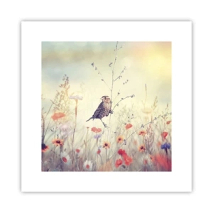 Affiche - Poster - Portrait d'oiseau sur pré en fond - 30x30 cm