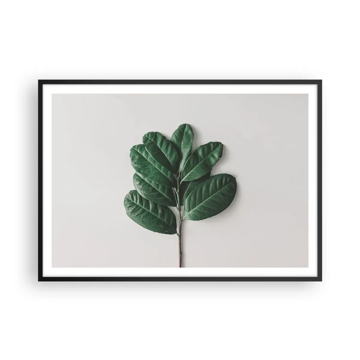 Affiche dans un cadre noir - Poster - Un brin de feuilles vertes sur un fond clair - 100x70cm - Dessin de la nature elle-même - Décoration murale moderne pour le salon et la chambre ARTTOR