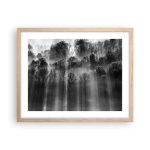 Affiche dans un chêne clair - Poster - Dans les flots de lumière - 50x40 cm