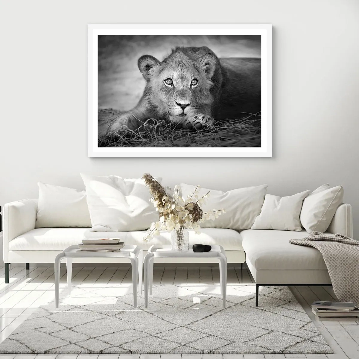 Affiche dans un cadre blanc - Poster - Chiot royal - 100x70 cm