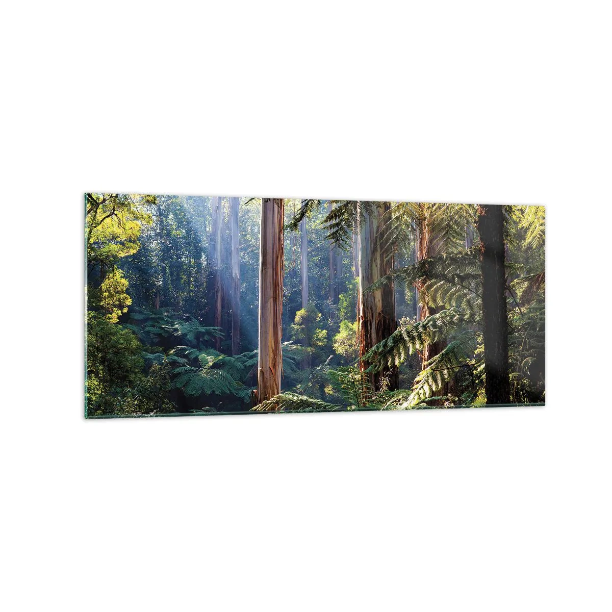 Impression sur verre - Image sur verre - Forêt tropicale illuminée par les rayons du soleil - 120x50cm - Fable de la forêt - Décoration murale moderne pour le salon et la chambre ARTTOR