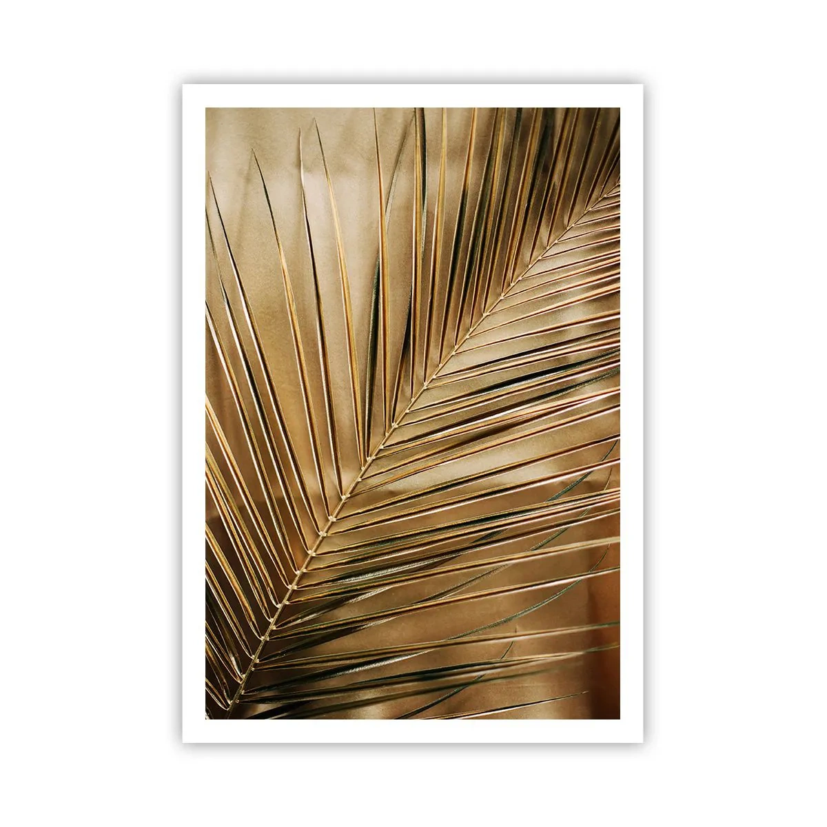 Affiche - Poster - Colonnade naturelle - 70x100 cm