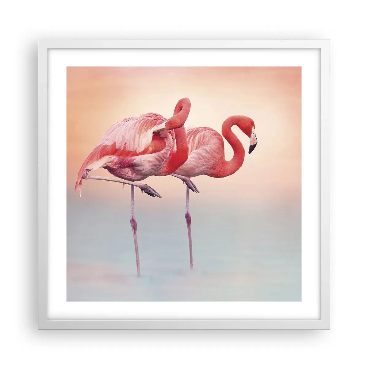 Affiche dans un cadre blanc - Poster - Dans les couleurs du soleil couchant - 50x50 cm