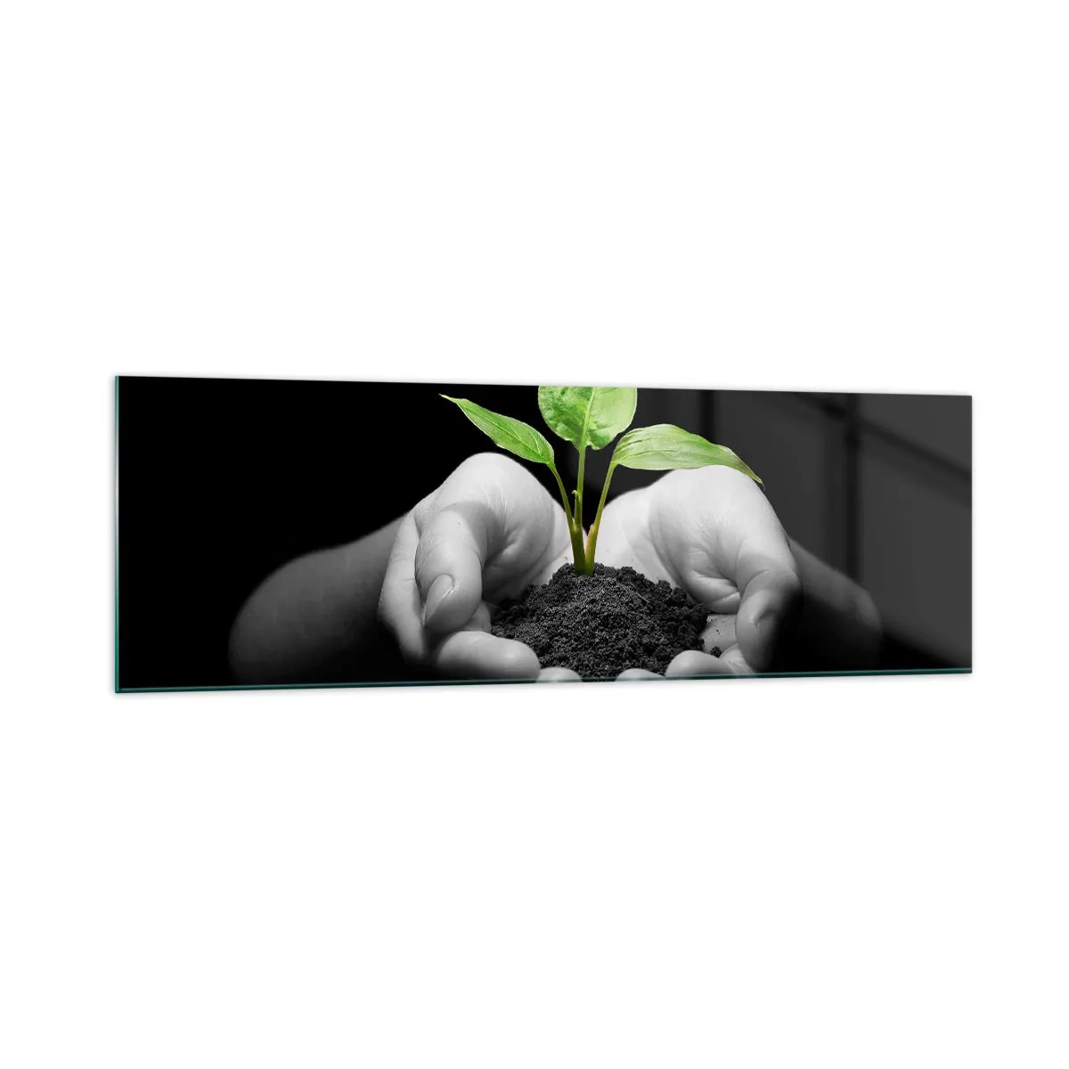 Impression sur verre - Image sur verre - Mains tenant une plante verte sur fond noir - 160x50cm - J'aime la nature, je la protège - Décoration murale moderne pour le salon et la chambre ARTTOR