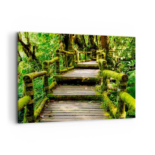 Impression sur toile - Image sur toile - Un pont en bois recouvert de mousse dans une forêt tropicale - 100x70cm - Un couloir de verdure - Décoration murale moderne pour le salon et la chambre ARTTOR
