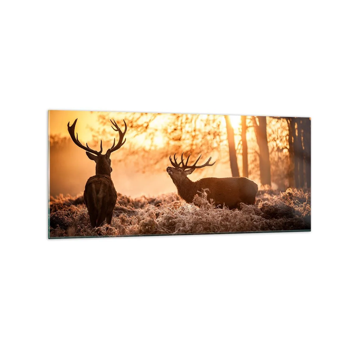 Impression sur verre - Image sur verre - Deux cerfs au coucher du soleil dans un paysage hivernal - 120x50cm - Le rêve d'un chasseur - Décoration murale moderne pour le salon et la chambre ARTTOR