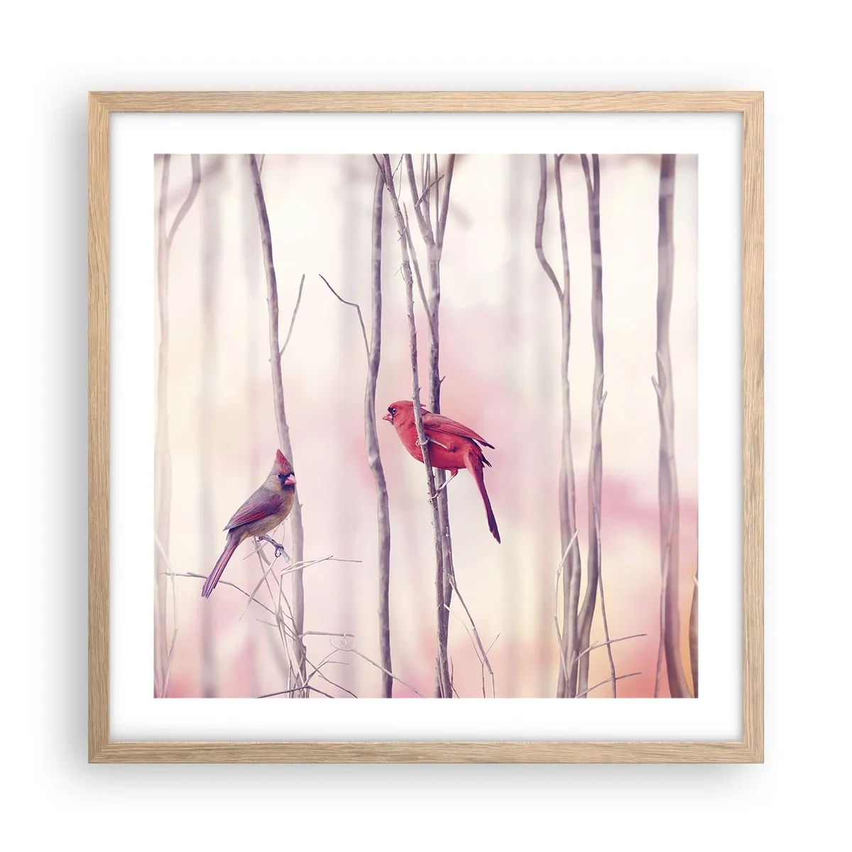 Affiche dans un chêne clair - Poster - Conte de la forêt rose - 50x50 cm