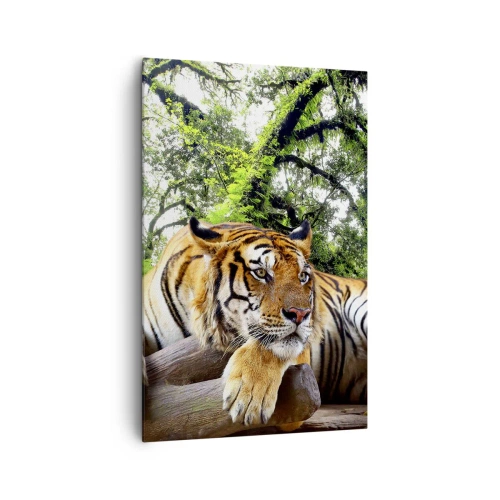 Impression sur toile - Image sur toile - Un tigre se reposant dans une forêt tropicale - 80x120cm - Cordialement - Décoration murale moderne pour le salon et la chambre ARTTOR