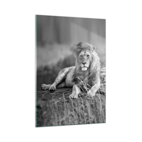 Impression sur verre - Image sur verre - Un lion reposant sur un rocher dans un paysage monochrome. - 50x70cm - Sieste royale - Décoration murale moderne pour le salon et la chambre ARTTOR