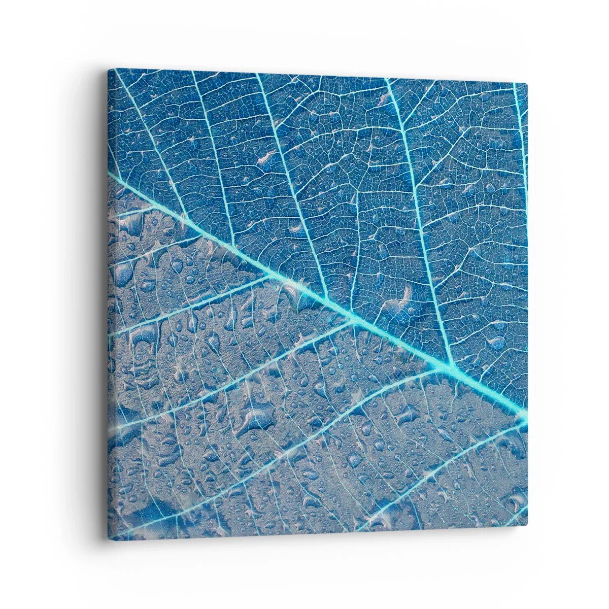 Impression sur toile - Image sur toile - La vie en bleu - 30x30 cm