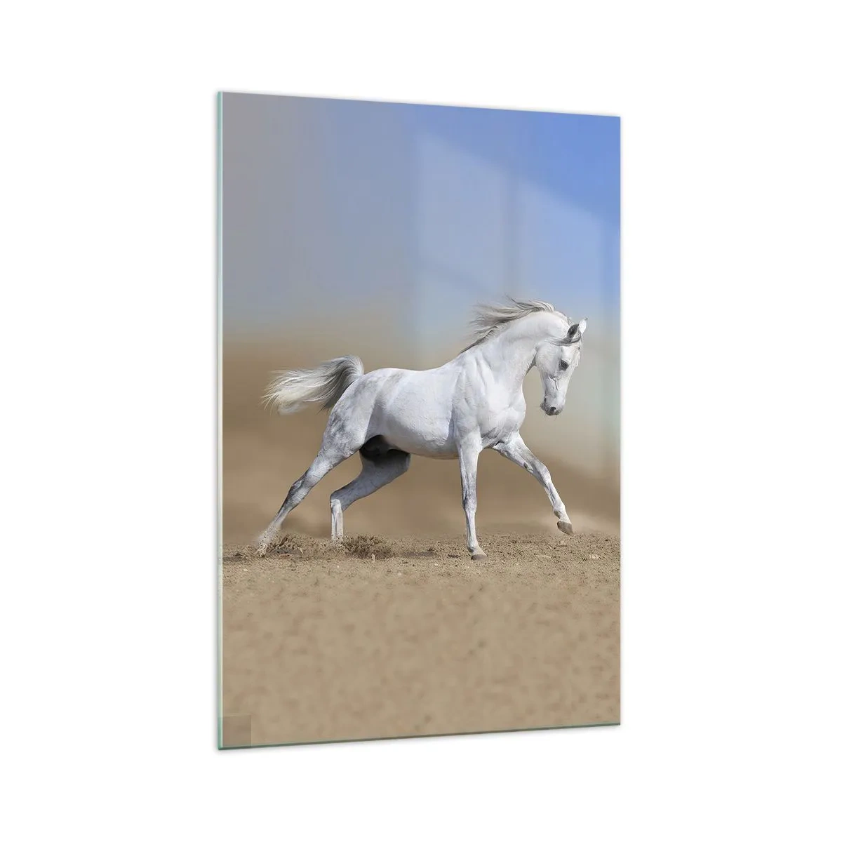 Impression sur verre - Image sur verre - Un cheval blanc galopant à travers un paysage désertique - 70x100cm - Le plus beau conte de fées arabe - Décoration murale moderne pour le salon et la chambre ARTTOR