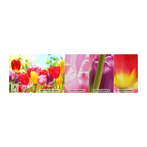 Échantillon de Papier Peint Premium Sand - C'est nous, les couleurs de Mai! - Fleurs, Tulipes, Jardin - 100x30 cm