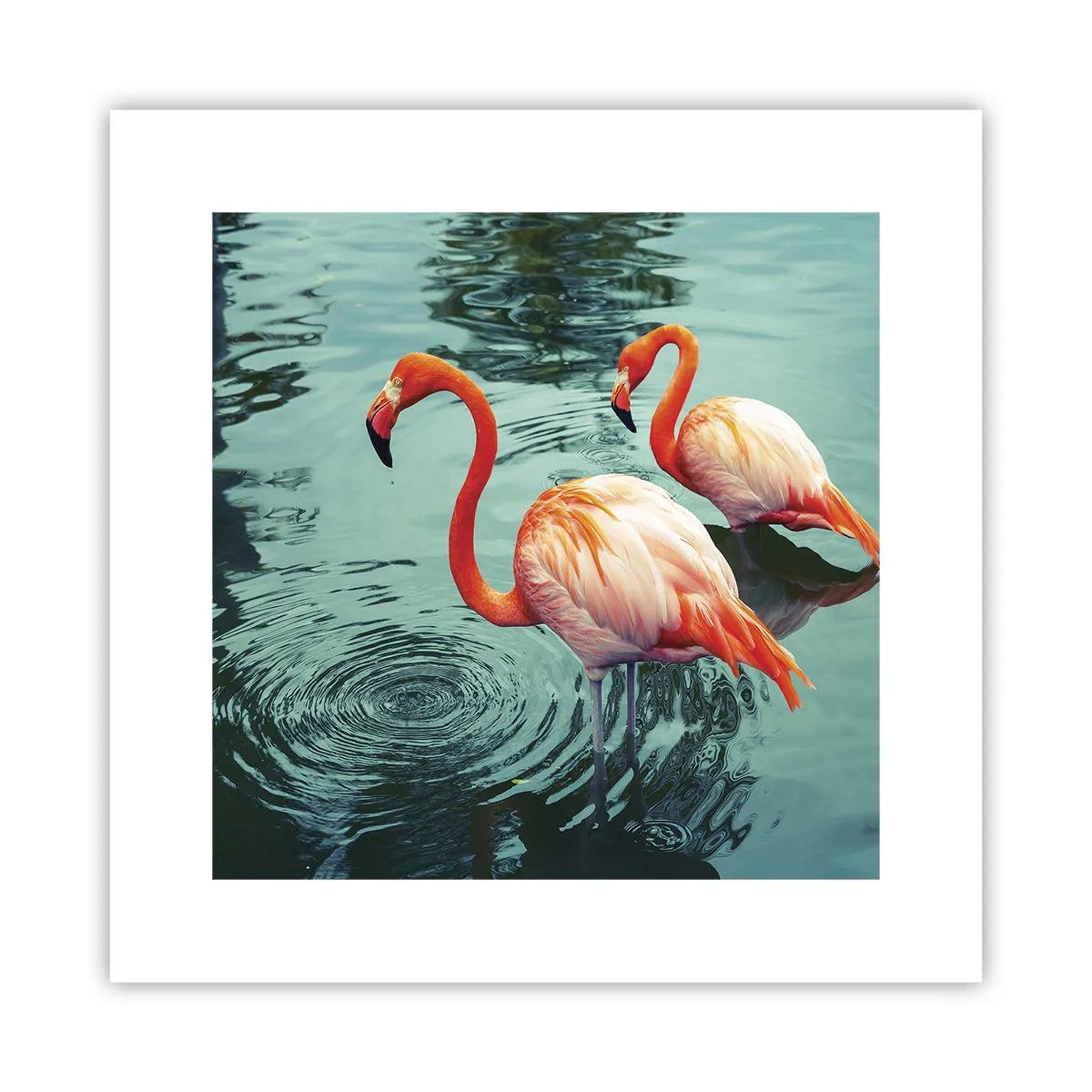 Affiche - Poster - Nous sommes à la mode maintenant - 30x30 cm